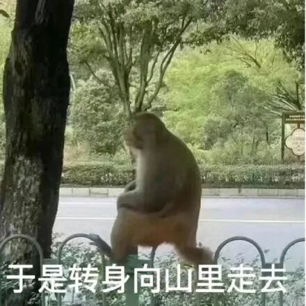 华为Mate80又成国产唯一？这堆料我顶不住了图10
