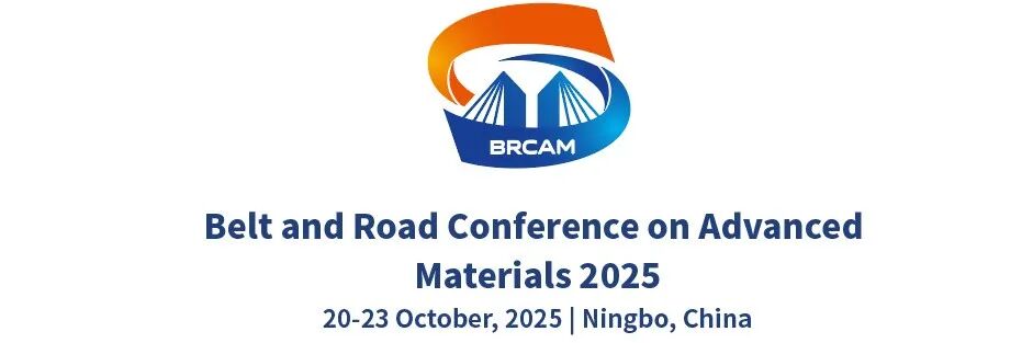 20余位中外院士 顶尖智力高度汇聚 2025一带一路国际先进材料大会能源材料论坛图7