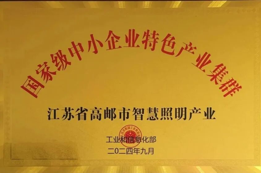 一天一个特色产业：江苏扬州高邮路灯产业图2