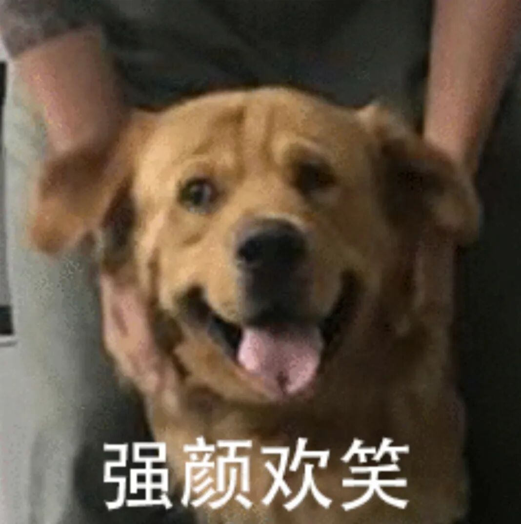 40W充电头卖300？苹果新快充用的AVS是个啥玩意儿图19