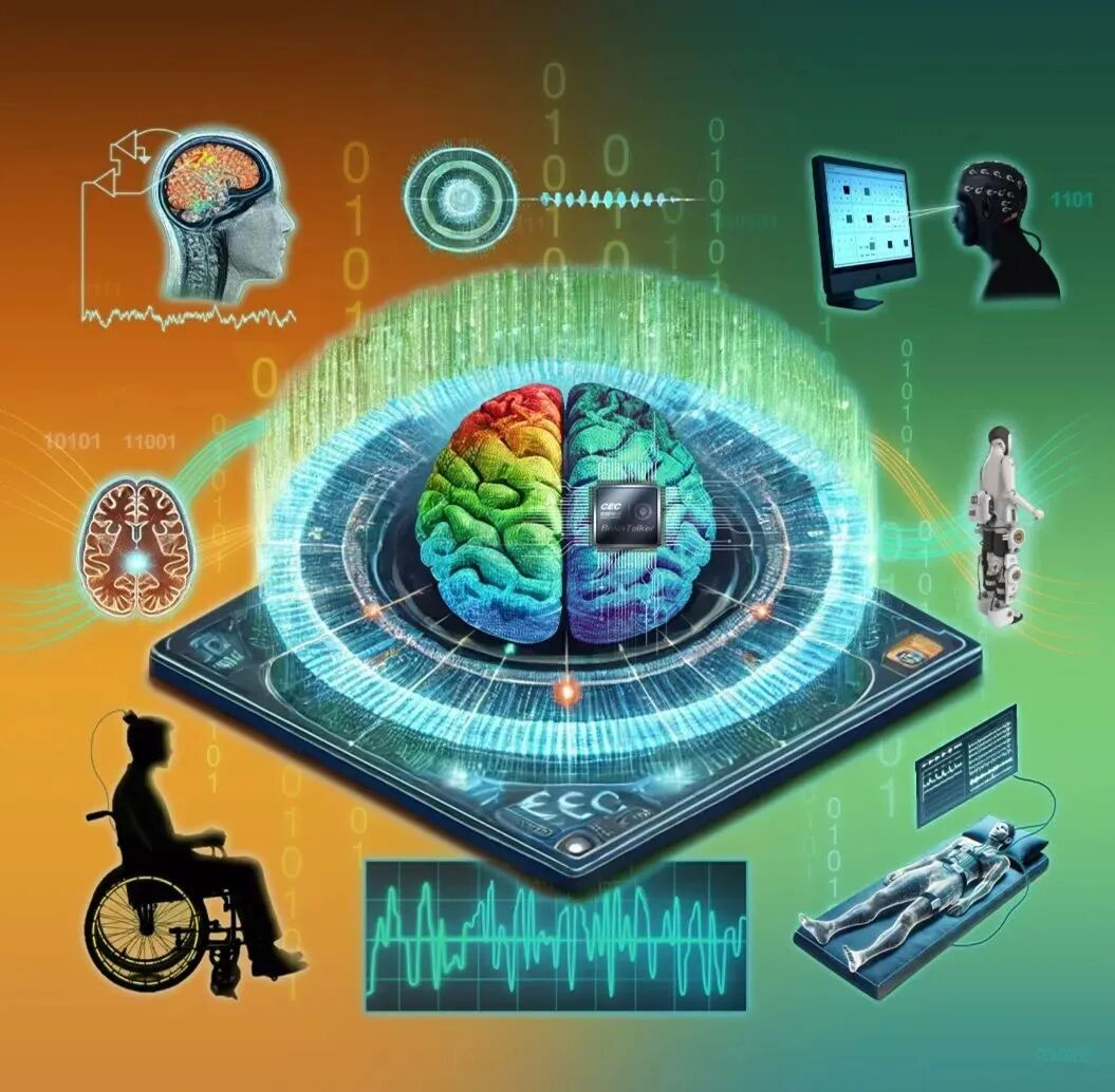 Mil Med Res:基于 EEG 的脑机接口技术在医学领域的最新应用进展图4