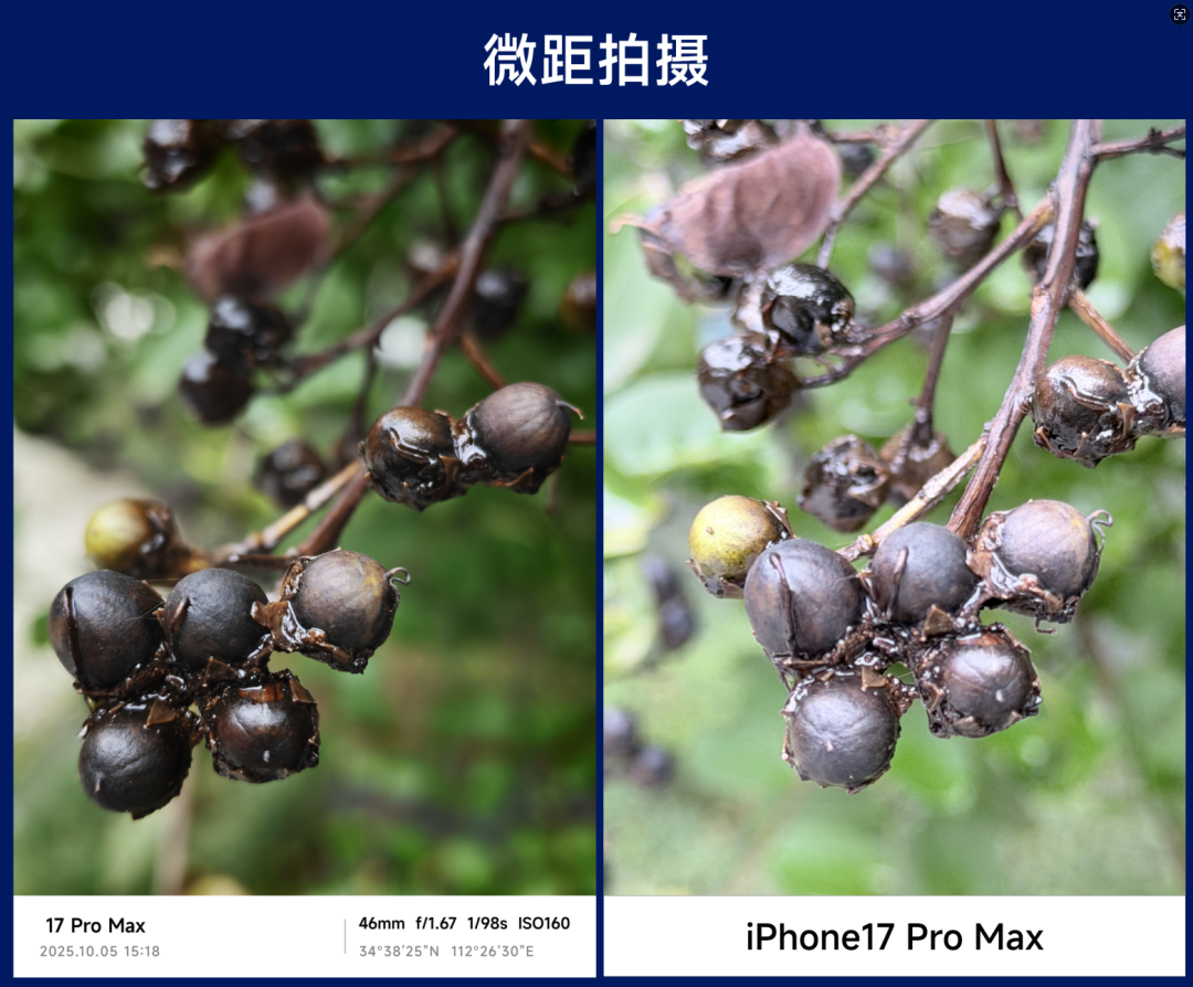 「 横评 」iPhone17ProMax大战小米17ProMax 拍照/视频对比图6