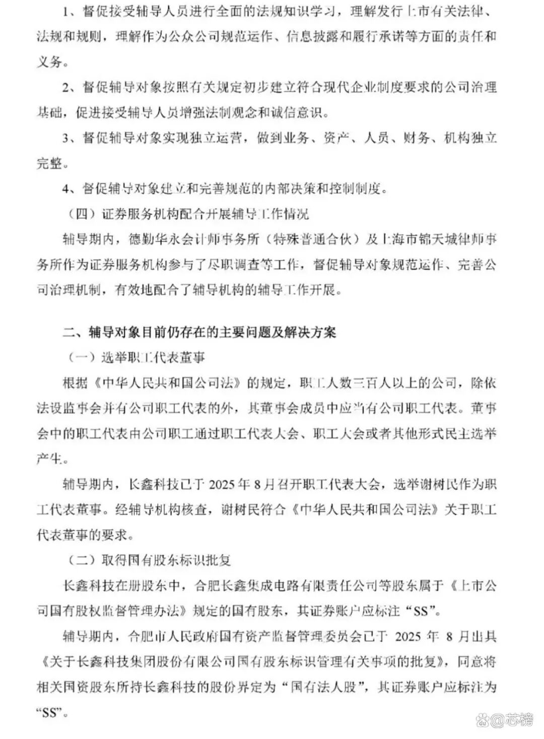 长鑫存储上市辅导-进展图4