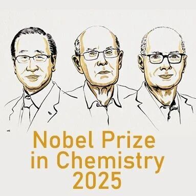 MOF获诺贝尔化学奖！巴斯夫、上海洗霸、蓝廷新能源等已布局锂电池、固态电池等应用