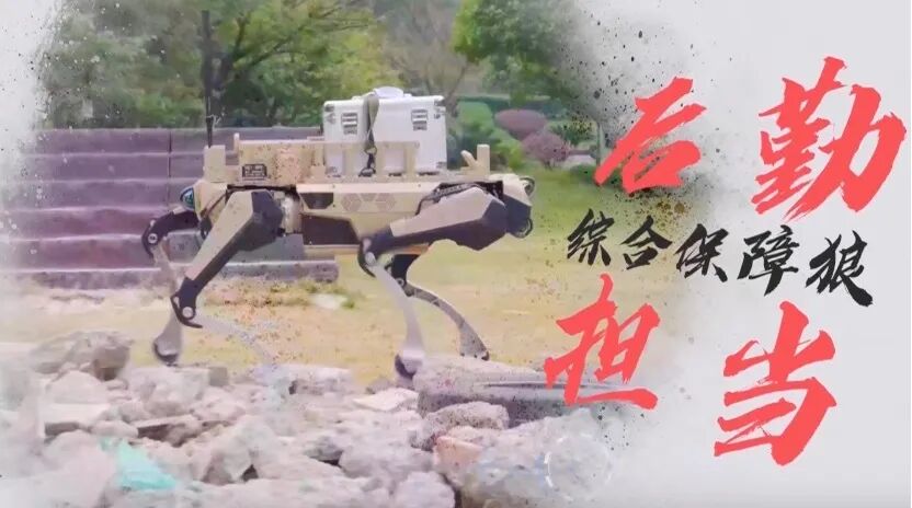 坦克、机器狼！实地测试阅兵装备图13