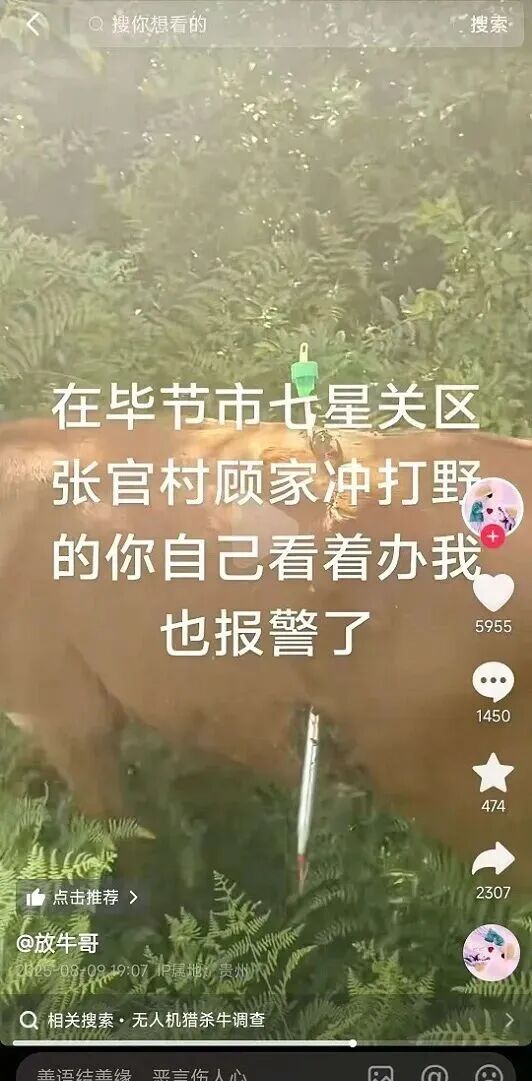 低空魔盒被打开了？无人机坠箭的正反场景：低空护农VS非法狩猎图5