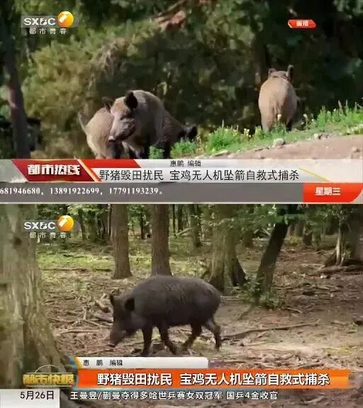 低空魔盒被打开了？无人机坠箭的正反场景：低空护农VS非法狩猎图6