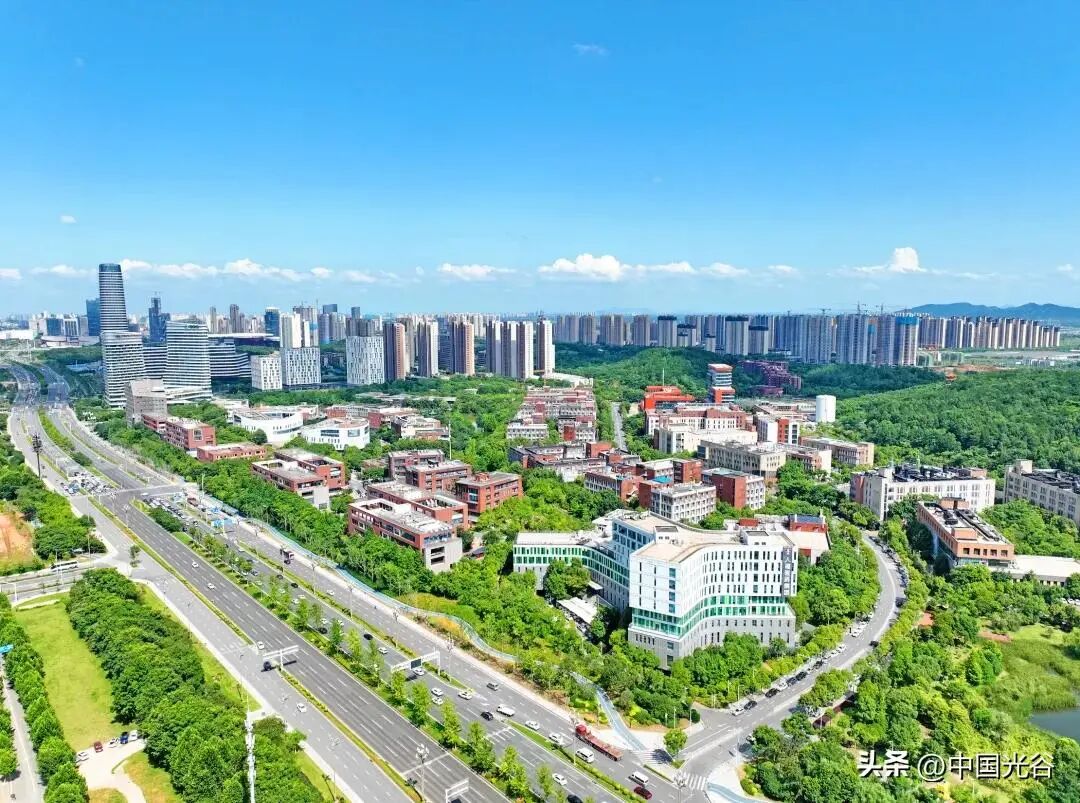光谷发布“脑机接口11条”，最高5000万元支持图3