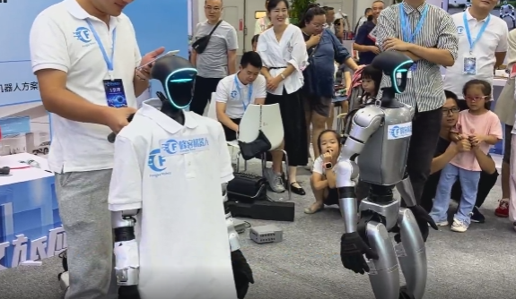 人形机器人核心企业梯队盘点图17