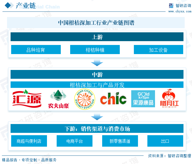 2025年中国柑桔深加工‌行业发展现状、竞争格局及趋势研判：产业集群效应凸显，深加工规模持续扩大[图]图4