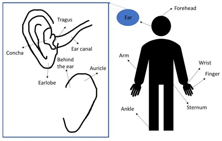 独家专访 AirPods 团队:一只小小的耳机,如何学会追踪 50 种运动?图3
