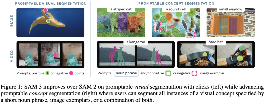 ICLR神秘论文曝光!SAM3用「概念」看世界,重构视觉AI新范式图6