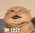 399 元起,vivo 刚发布这些新机,有点香啊图1