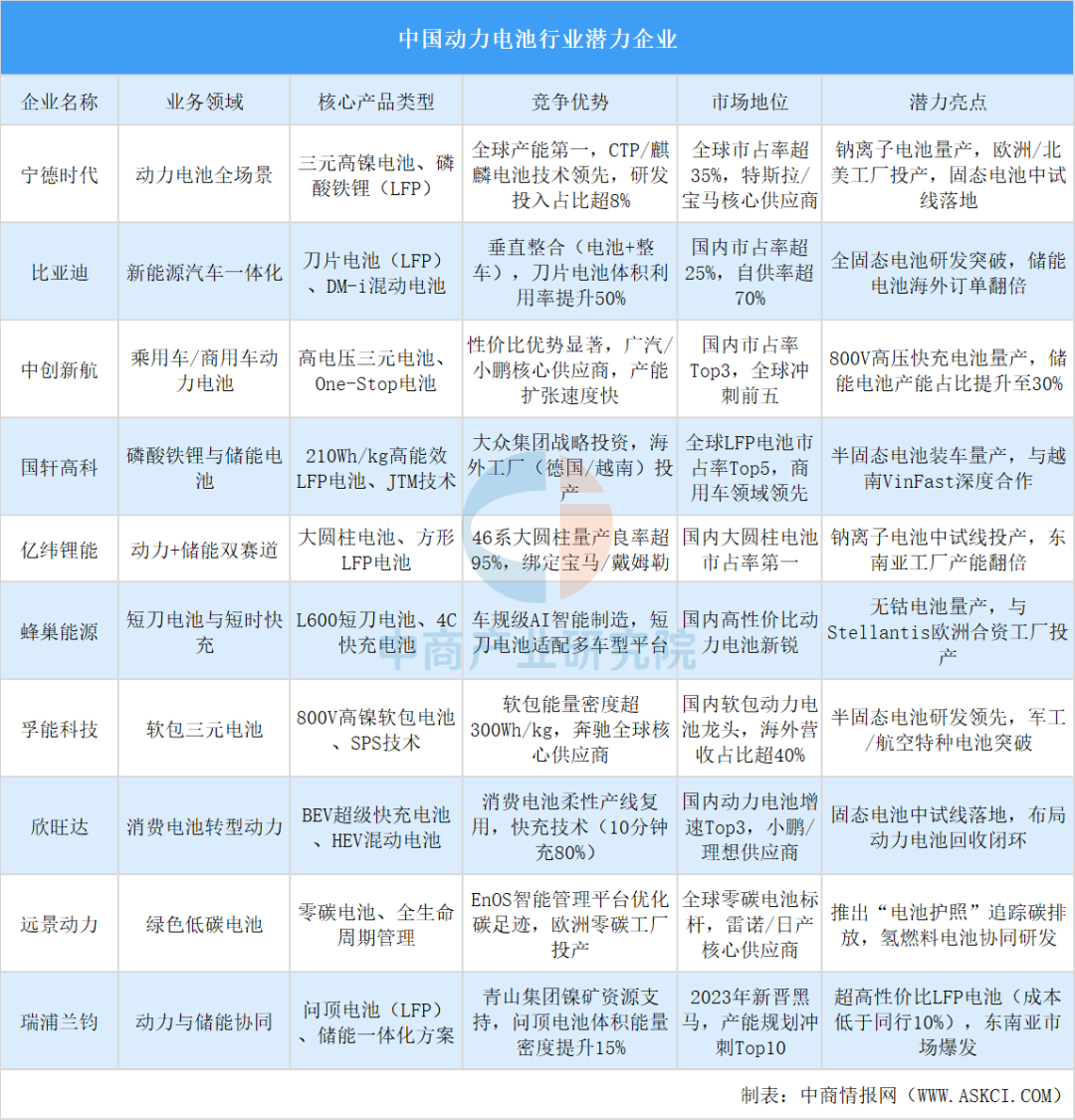 2025年中国动力电池行业市场前景预测研究报告图12