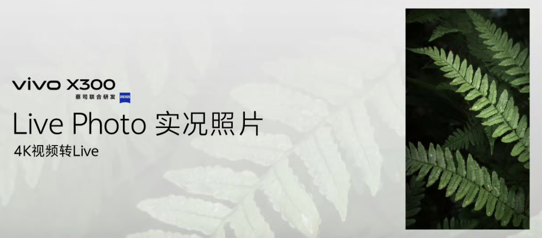4399元起,vivo 2亿像素影像旗舰“大小王”亮相!旅行演唱会不用带相机图9