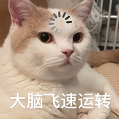京东突然官宣发新车!怎么电商也来造车了?图11