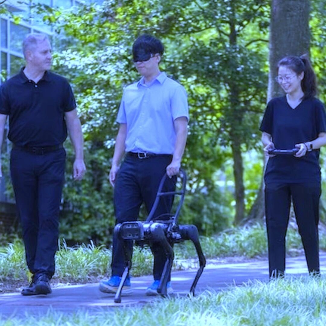 这个机器人导盲犬，为视障人士打开自由生活 |AI新大陆