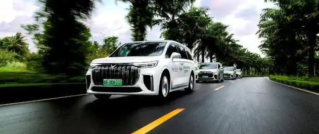 开海南发票收2000+“外省发票过票费”,岚图汽车疑诱导异地“套补”!图3