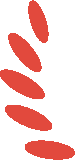 喜讯!巨霖科技荣获“湾芯奖-技术创新奖”图6