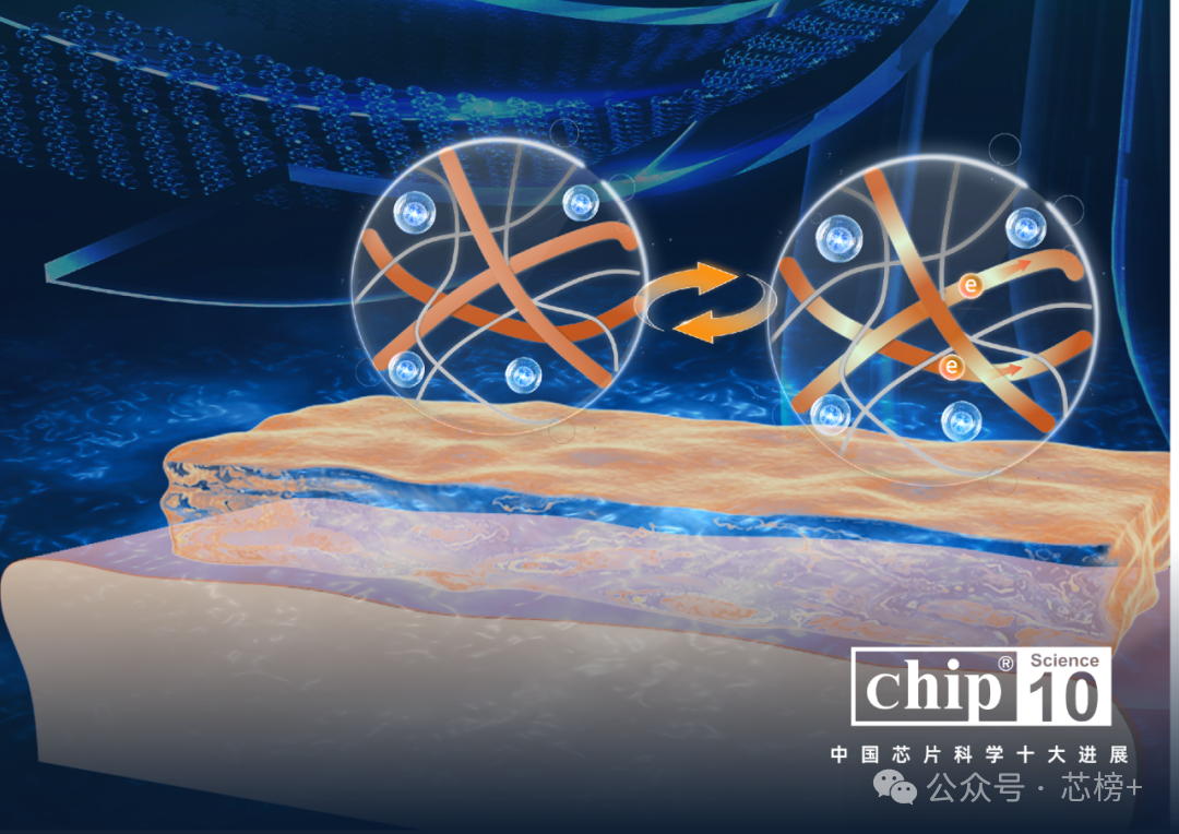 Chip 2024中国芯片科学十大进展正式公布图14