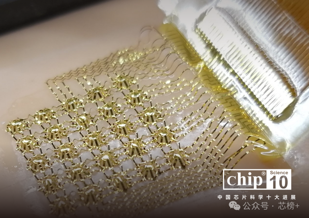 Chip 2024中国芯片科学十大进展正式公布图16