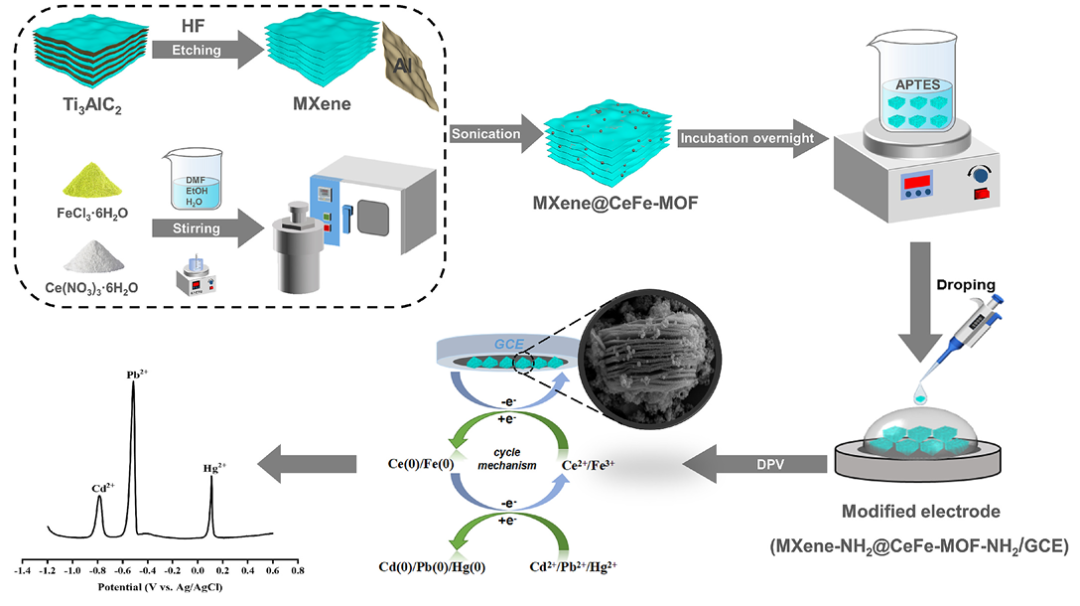 Food Chem:APTES孵育的MXene-NH₂@CeFe-MOF-NH₂超灵敏电化学传感器同时检测食品中的重金属离子图4