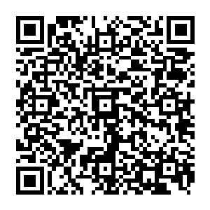全球低空经济生态圈齐聚STE!11月4日香港盛会即将启幕图5