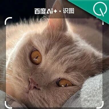 百度文心助手都成这样了
