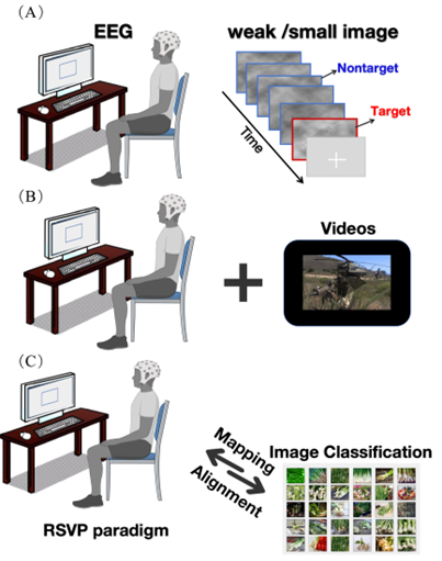IEEE TBME | 十年回顾：用于目标检测的快速序列视觉呈现脑机范式研究现状与趋势图13