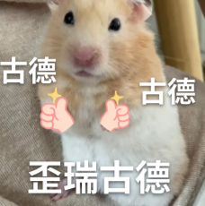 首创“AI+真人”双保障模式!刚刚,百度健康推出7x24小时「能聊、有料、会管」AI管家图4