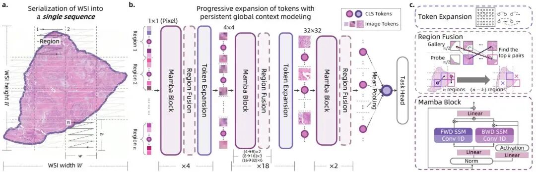 ICCV 2025 「阿里达摩院」相关论文|AnyI2V、LiON-LoRA、Preacher、StableDepth等图7