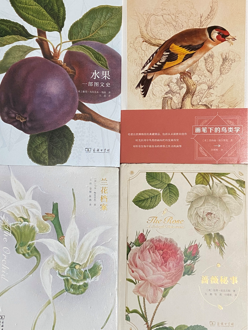 上海日记|大地之歌、Ophelia与良友图2