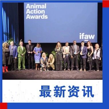 百度“濒危物种AI守护官2.0”获第25届爱护动物年度创新实践奖