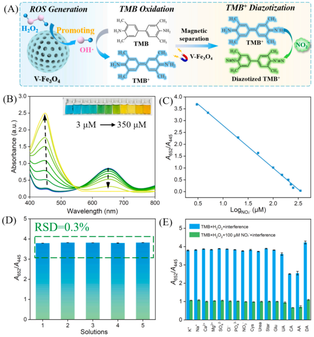 J Colloid Interface Sci：增强类过氧化物酶活性的介孔钒掺杂Fe3O4纳米酶用于亚硝酸盐比色-电化学双模检测图7