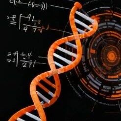 医疗幻觉率比DeepSeek低3倍,百川循证增强大模型横扫全球医学考试!