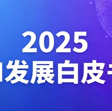 2025AI发展白皮书刷屏背后：中国AI的“深圳样本”为何让全球侧目？