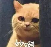 顶会直聘!大厂ICCV现场玩出新模式,还是鹅会玩图15