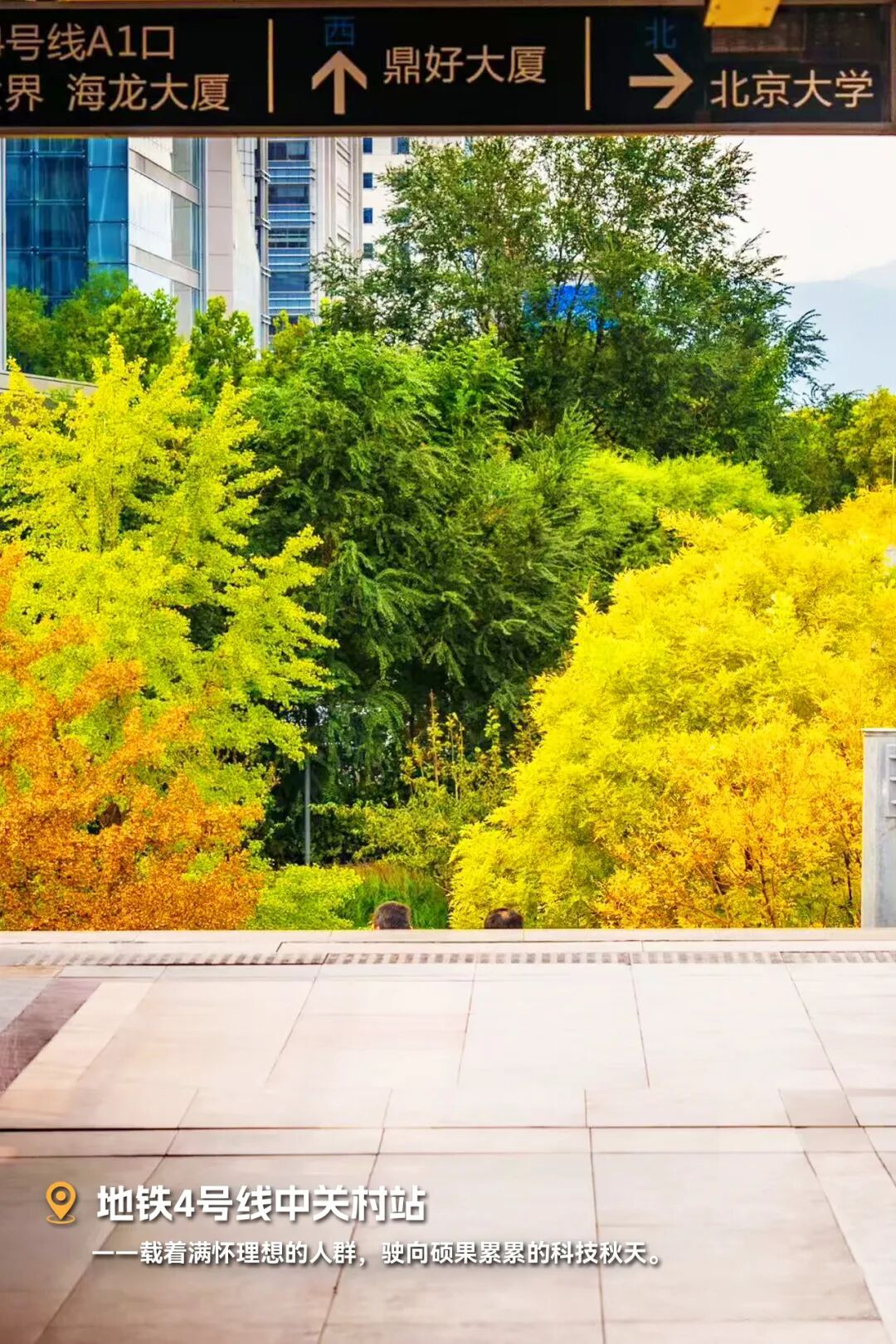 秋天的北京，风景是金色的，创新是硬核的～图1