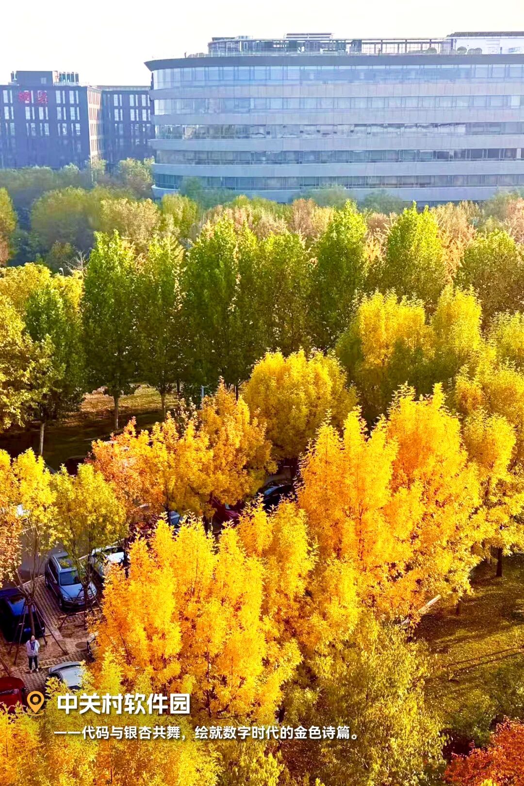 秋天的北京，风景是金色的，创新是硬核的～图4
