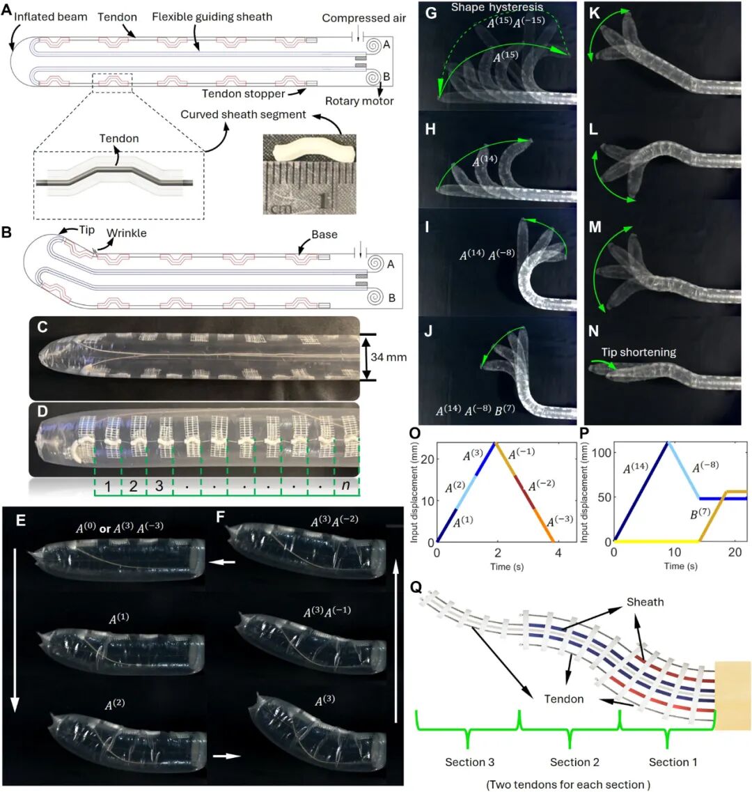 打破常识!把“系统缺陷”变神器,谢菲尔德大学曹林教授团队提出HasMorph新范式,靠2根驱动绳破解狭窄空间探索难题!图2