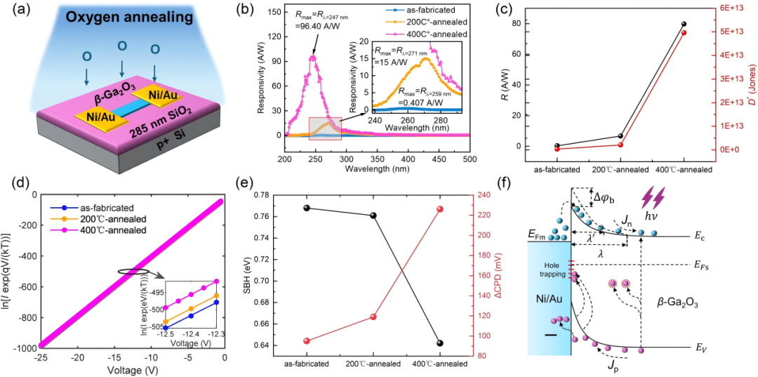厦门大学杨伟锋教授团队在第四代半导体氧化镓功率器件和深紫外光电探测器领域研究取得重要进展图12