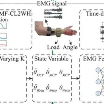 基于EMG驱动状态空间模型和可变刚度肌肉骨骼模型的负载鲁棒运动估计
