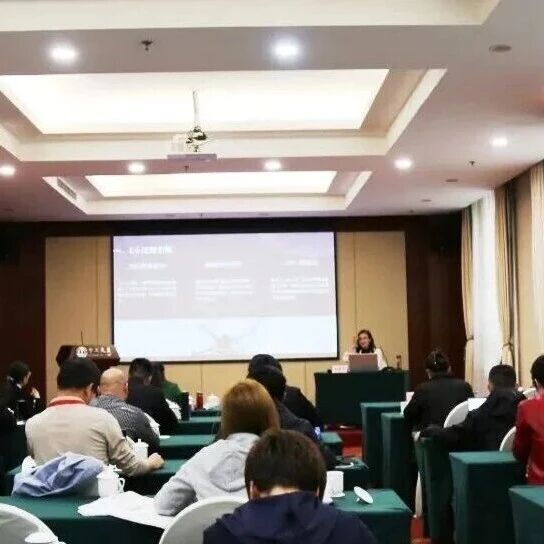 天翼科技亮相全国第一批低空经济微专业教师培训班,以数智化平台赋能教育创新