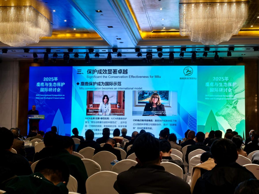 智慧养老、麋鹿保护，北科院两场中关村论坛系列活动举办图2