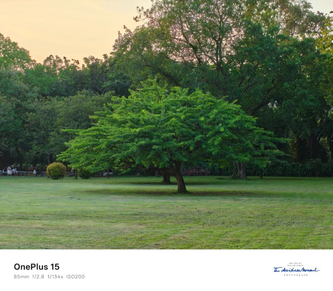 刚发布的顶级性能手机,给我用爽了图42