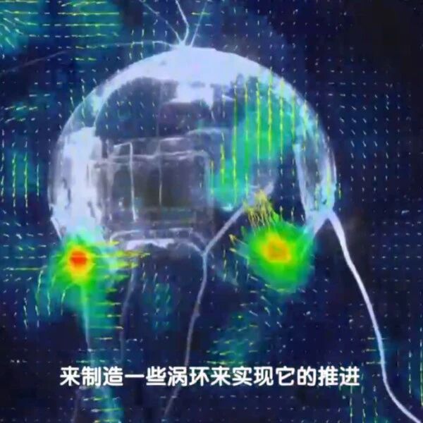 西工大新成果,透明仿生水母机器人研制成功!