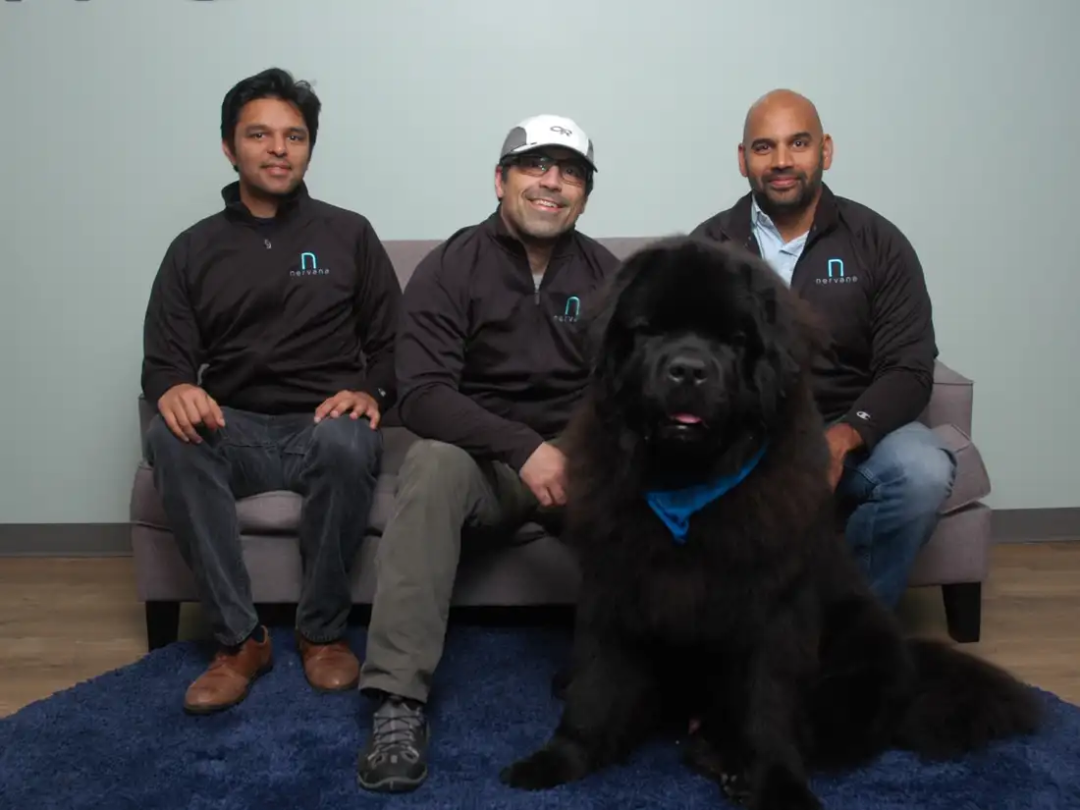 一位芯片老兵,再战英伟达图2