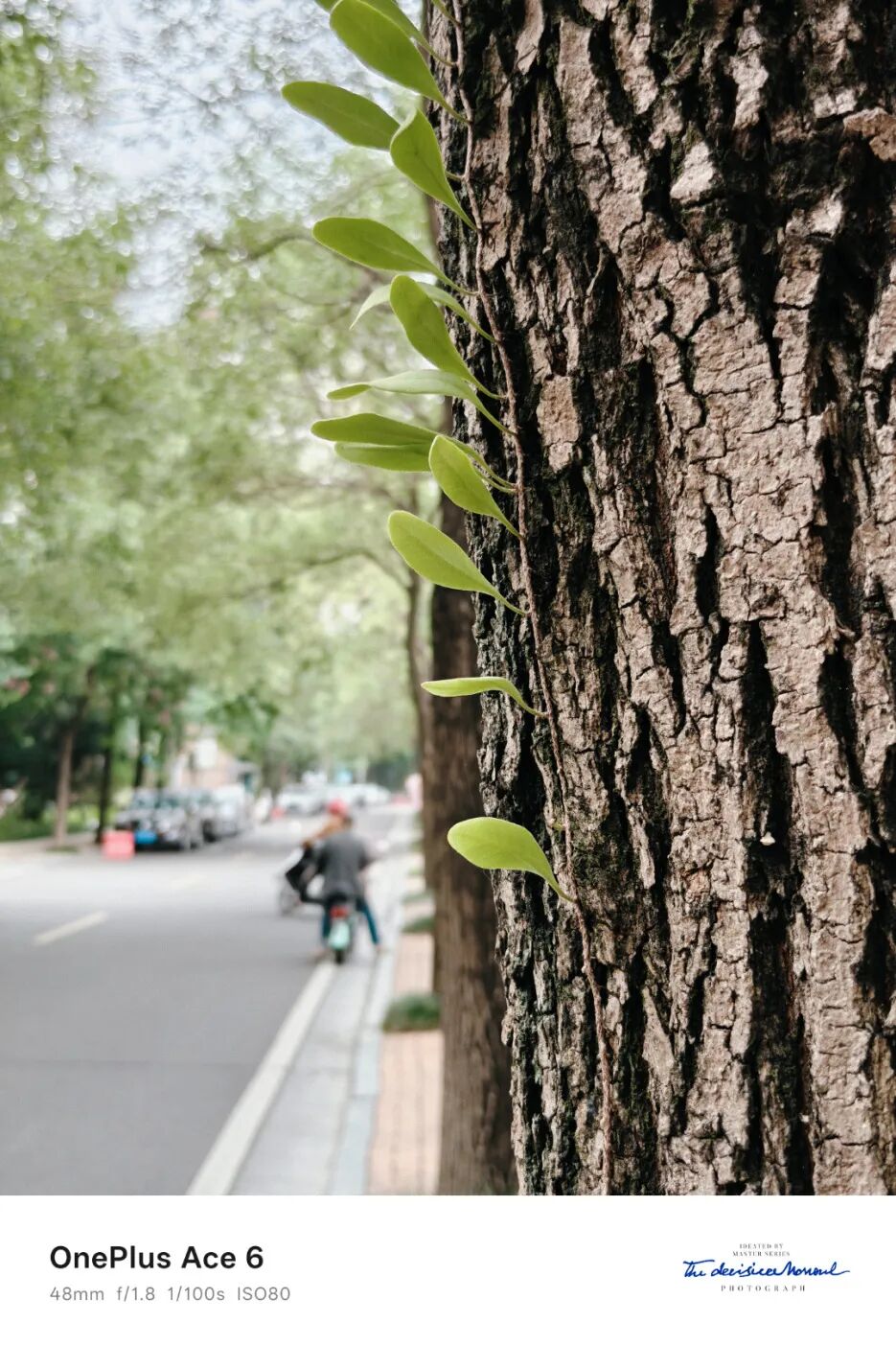 undefined 一加,发了台2599元的性能怪兽图41