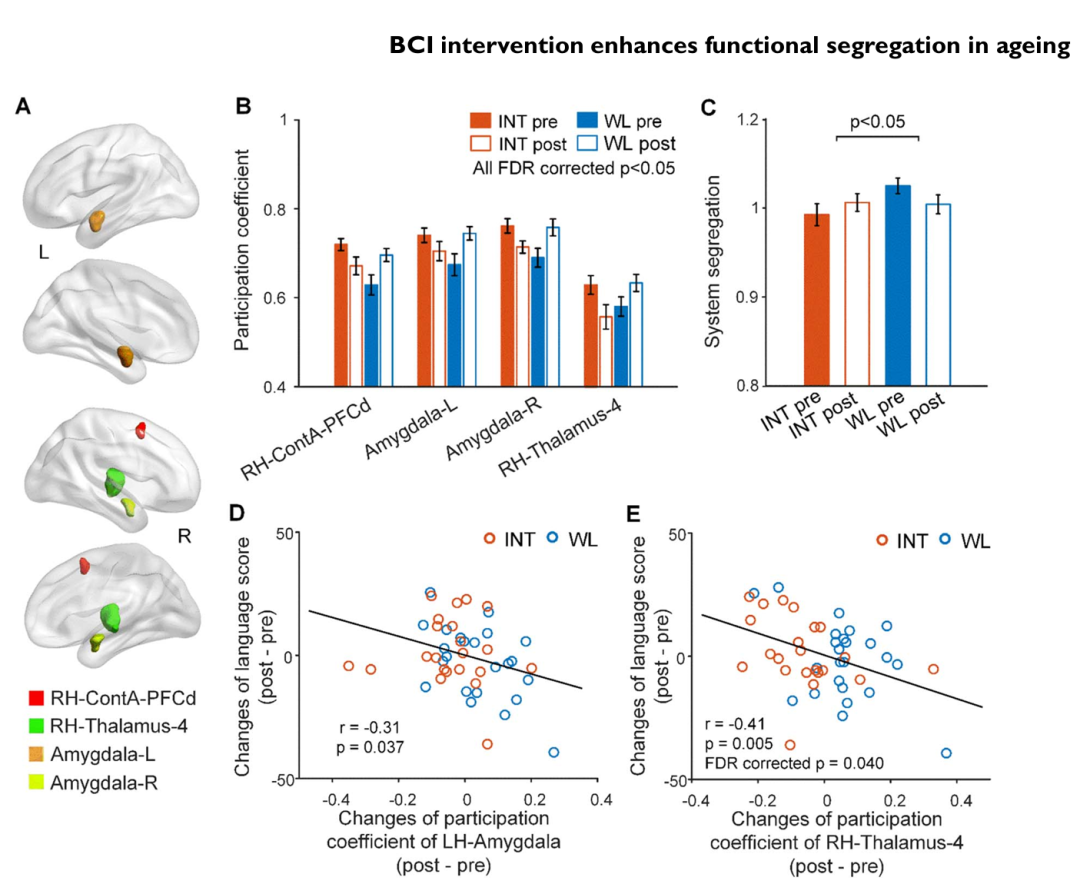 文献速递 | 基于脑机接口的干预可增加认知正常老年人的脑功能分离图8