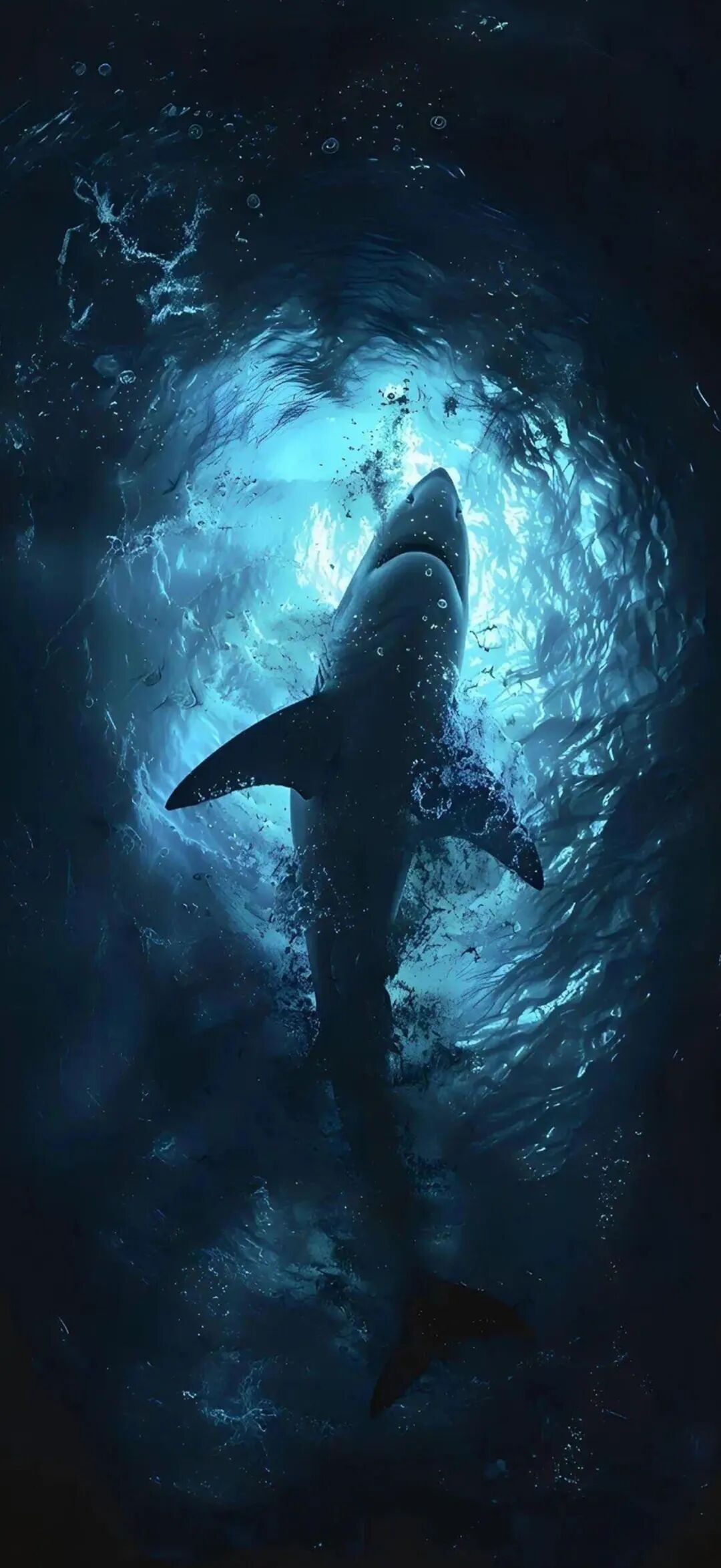 壁纸｜蓝色海域图5